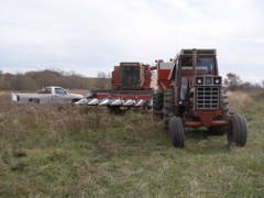 PB036008.JPG