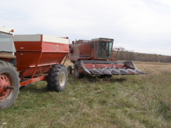 PB036009.JPG