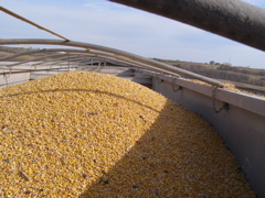 PB036012.JPG