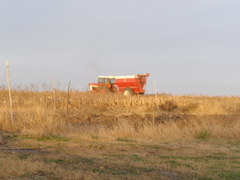 PB036019.JPG