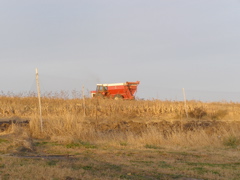 PB036020.JPG
