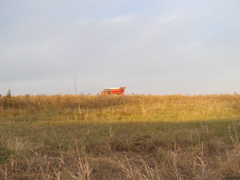PB036021.JPG