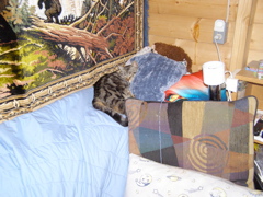 P3016592.JPG