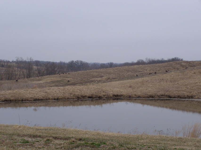 P3306844.JPG