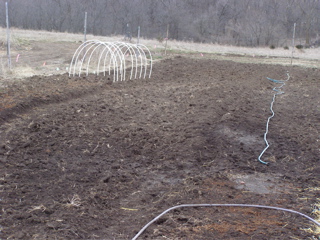 P4076861.JPG
