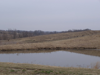 P3306844.JPG