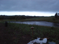 P7142511.JPG
