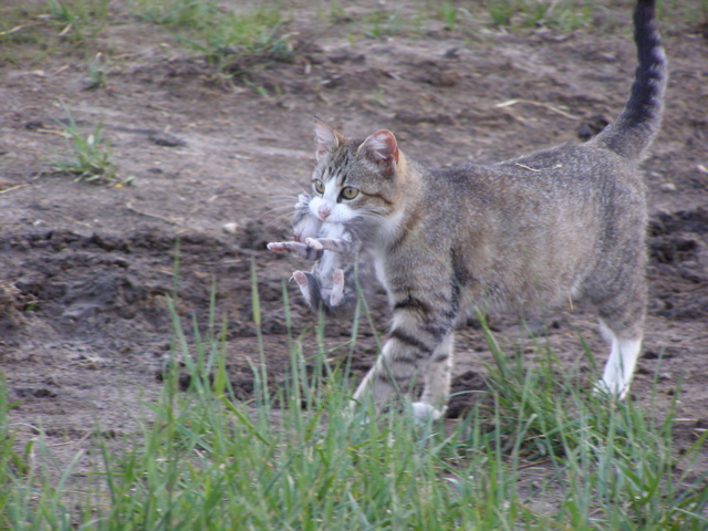P5247137.JPG