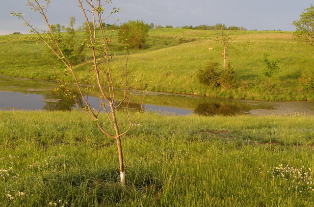P5317149.JPG