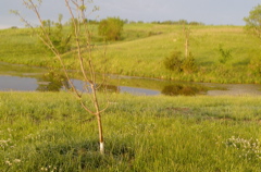 P5317149.JPG