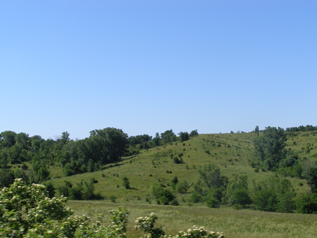 P6147345.JPG