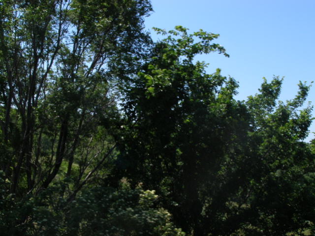 P6147347.JPG