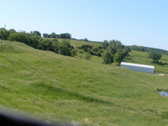 P6147356.JPG