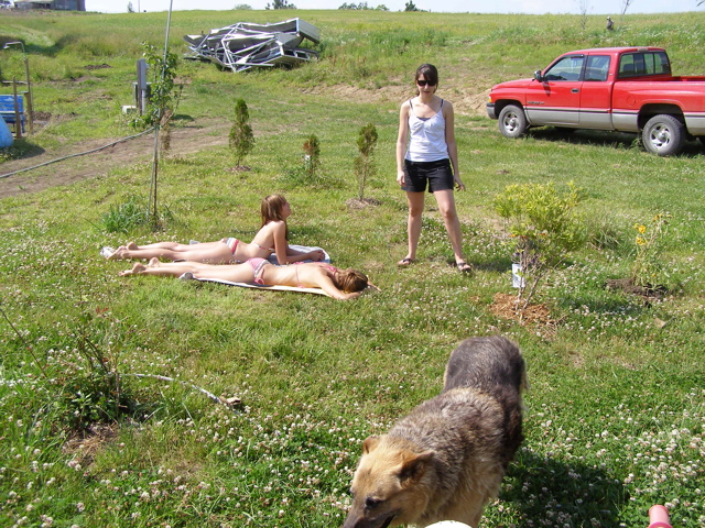 P7047510.JPG