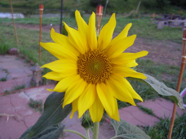 P7107550.JPG