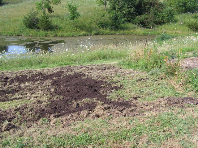 P7207577.JPG