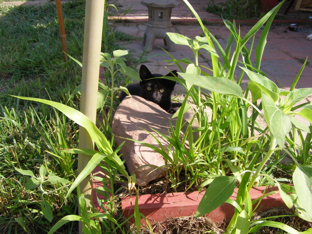 P7207584.JPG