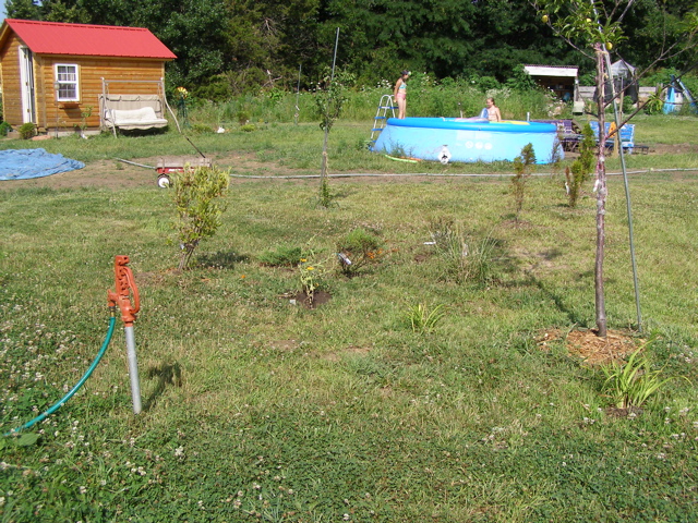 P7207589.JPG