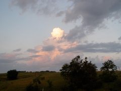 P7117554.JPG
