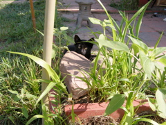P7207584.JPG