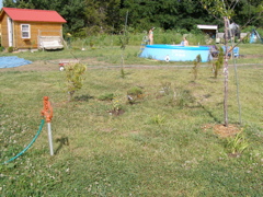 P7207589.JPG