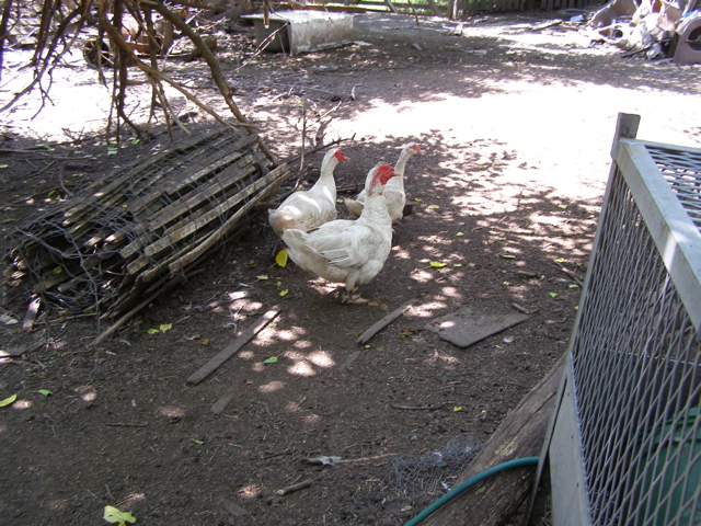 P7277597.JPG