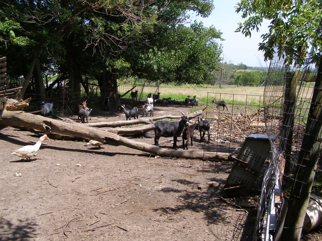 P7277610.JPG