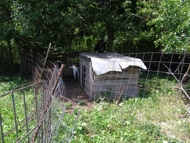 P7277612.JPG