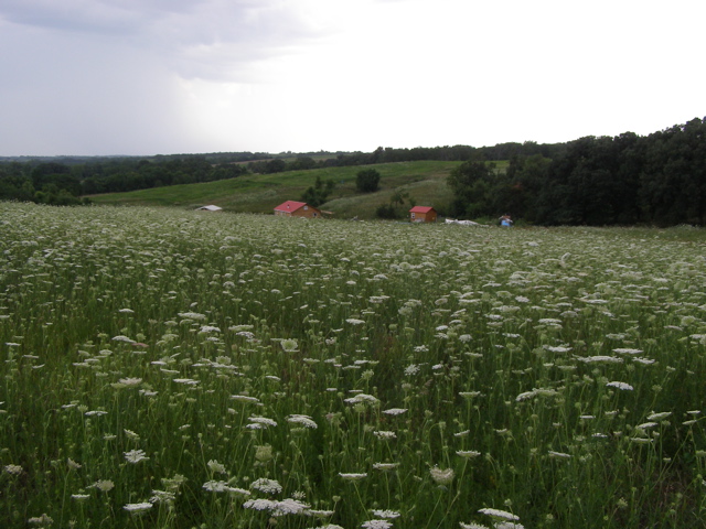 P7277617.JPG