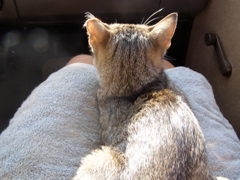 P8177710.JPG