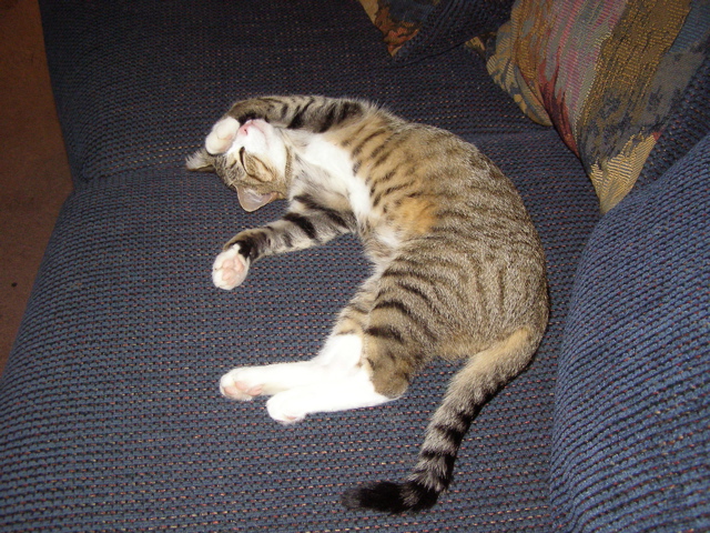 P9057771.JPG
