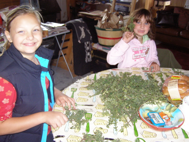 PA047836.JPG
