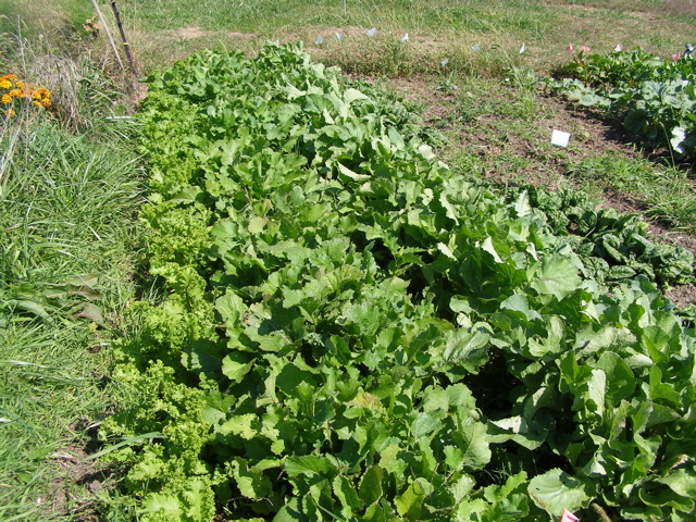 PA047848.JPG