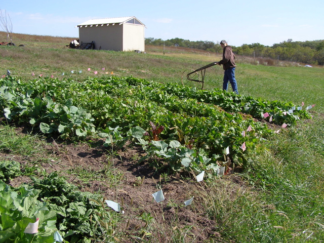 PA047849.JPG
