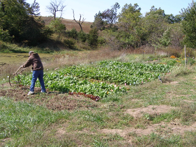 PA047852.JPG