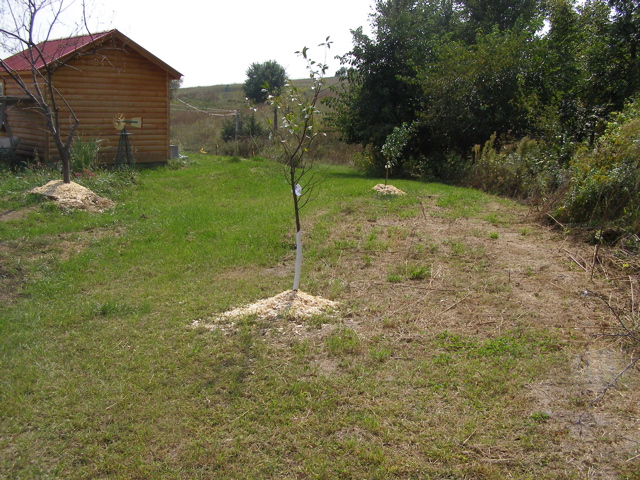 P9227791.JPG