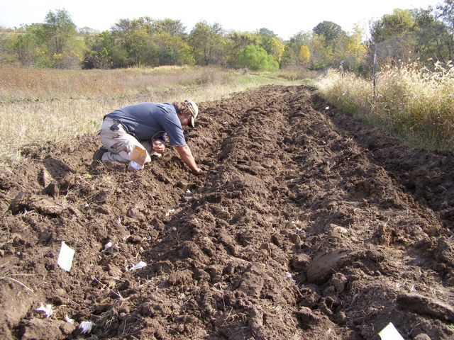 PA117918.JPG
