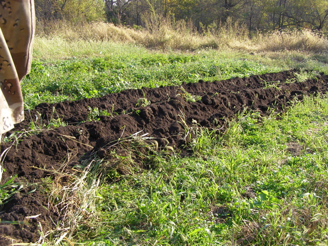 PA117894.JPG