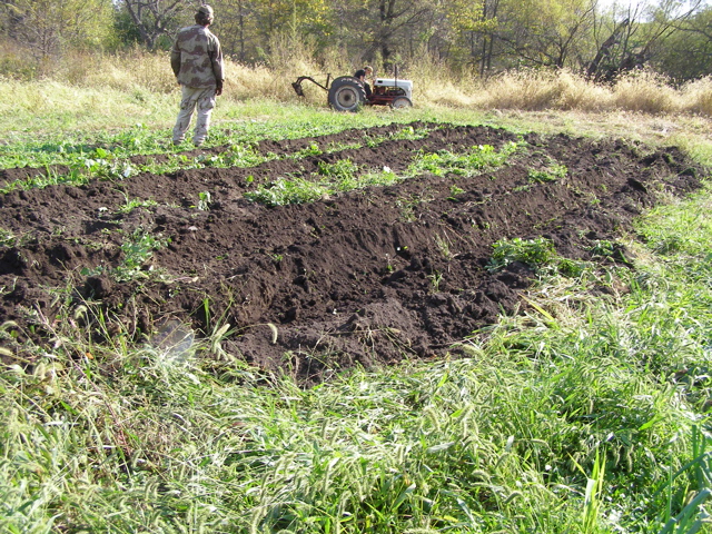 PA117898.JPG