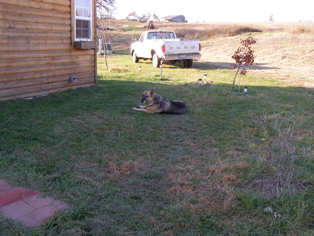 PB028087.JPG