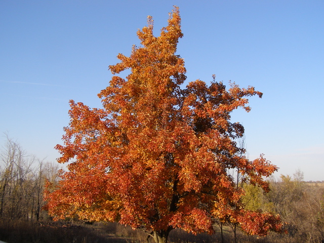 PB028088.JPG