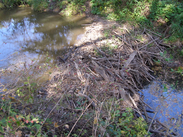 PA117910.JPG