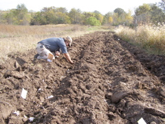 PA117918.JPG