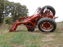 PA127935.JPG