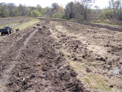 PA197965.JPG