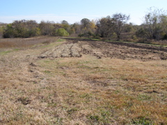 PA197972.JPG