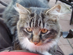 PA257989.JPG