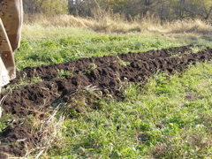 PA117894.JPG