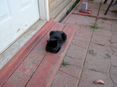 PA257991.JPG