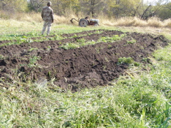 PA117898.JPG